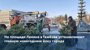 На площади Ленина в Тамбове устанавливают главную новогоднюю ёлку города