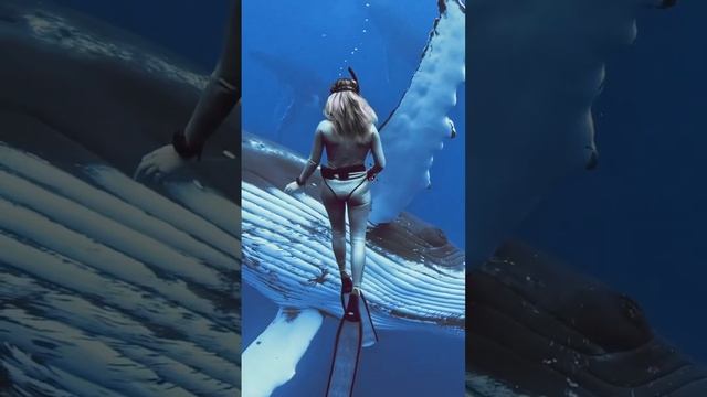 6142b5723d55c1ea7cbc6e81ed73aeab.mp4
