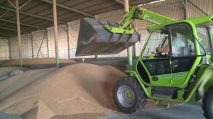 ЗАО«Землянское»  История одного из лучших в Воронежской области семеноводческих хозяйств