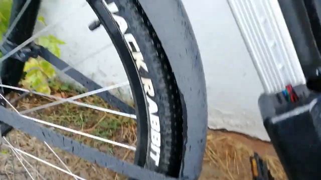 Электровелосипед после прогулки под дождём с грузовым велоприцепом.