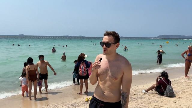 Ко Лан УДИВЛЯЕТ! СВИНЬЯ на Пляже. УКРАЛИ Еду.