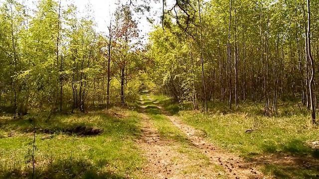 Travel in Ukraine. Slobozhanschyna. Поездка в Ващенков бор. 02.05.2017. смотреть онлайн