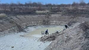 ОТКАЧИВАЕМ И СПАСАЕМ ПРУДЫ, ловим МОНСТРОВ, закупка рыбы, посадил сад