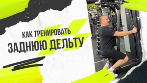 Как качать заднюю дельту