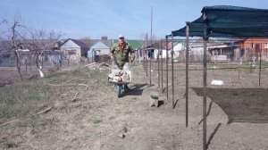 Начало строительства шпалеры для виноградника