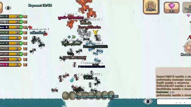 Pocket Ants_2024-12-19-19-05-26