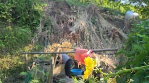 SHOCK: The cruel mother-in-law is burned out. The mute bride began to make money on her own,Ly Tu T