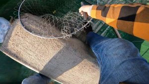 2024 год август 27, с. Вышка, Астраханская область / судак.