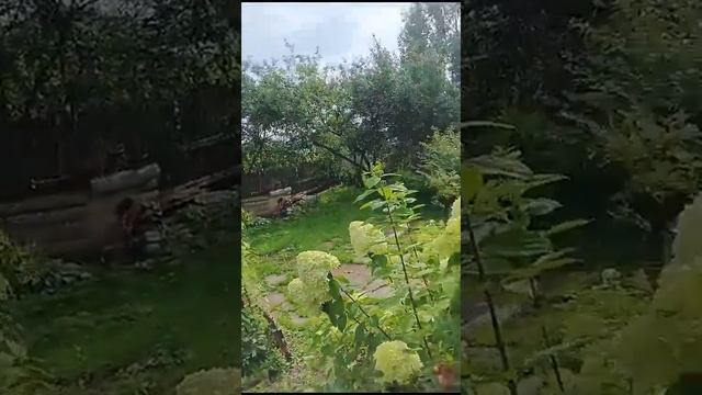 26 августа 2023 г. смотреть онлайн