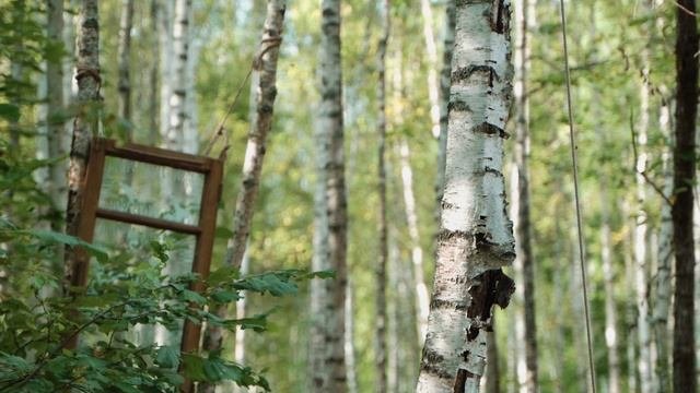 Творческая подготовка SIGNAL