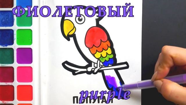 Раскраска для детей и малышей Попугай. Мультик-Раскраска. Учим цвета. Простые рисунки I Раскрашка ТВ смотреть онлайн