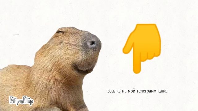 Я создатель телеграм канал