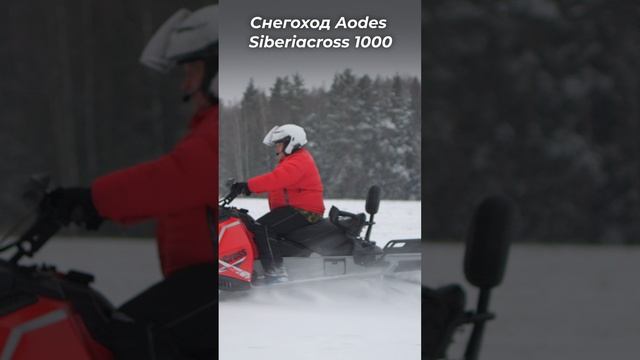 Китайский снегоход Aodes Siberiacross 1000 | ОБЗОР и Тест-Драйв