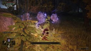 ТОП 1 ЩИТ ДЛЯ МАГА! ELDEN RING #45