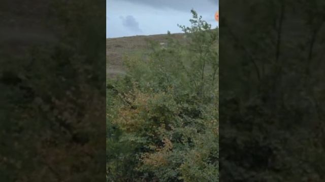 если вдруг не хватает мотивации