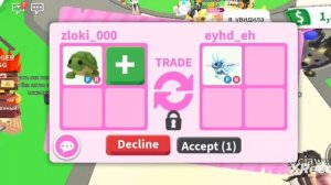 трейды на фр черепаху🌺