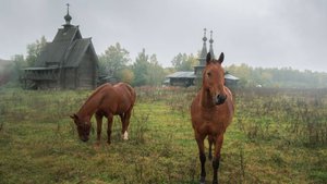 Урочище Введенское Борисовка. История создания храмового комплекса