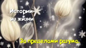 Рассказы жизненные истории - За пределами разума...