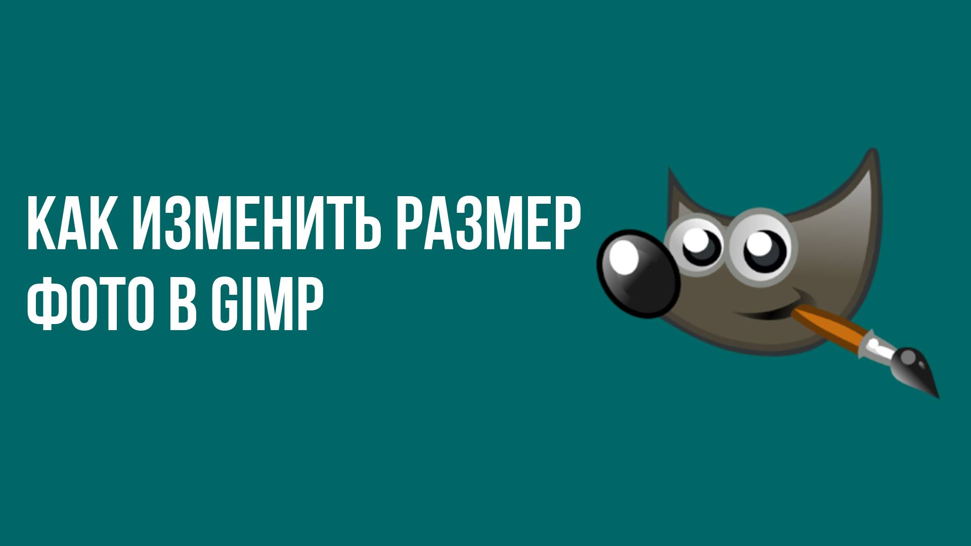 Как изменить размер фото в Gimp