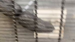 Холодильник pozis, медный контур обогрева, нет холода