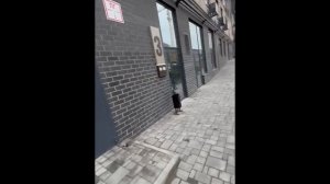 Обзор ЖК в Пролетарском р-не г.Ростова-на-Дону