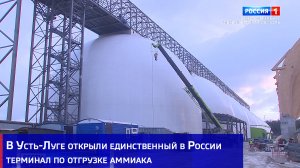 Усть-Луге открыли единственный в России терминал по отгрузке аммиака