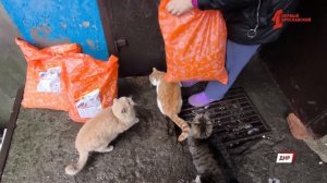 Военкор «Первого Ярославского» пообщалась со свидетелями военных преступлений киевского режима