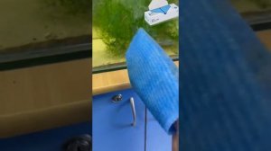 #салфетка_губка #многоразовая #атоми #отзывпокупателяатоми