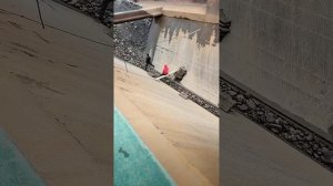 Строительство, разгрузка баржи
