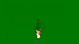 ФУТАЖ   ( ПЫЛАЮЩИЙ  КОСТЕР   )   НА ЗЕЛЕНОМ ФОНЕ-ХРОМАКЕЙ