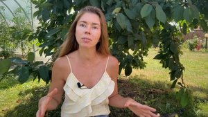 Все мои системы автополива: капельный от ёмкости и водопровода, сочащийся шланг. Плюсы и минусы