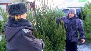 НАРЯДНАЯ И БЕЗОПАСНАЯ