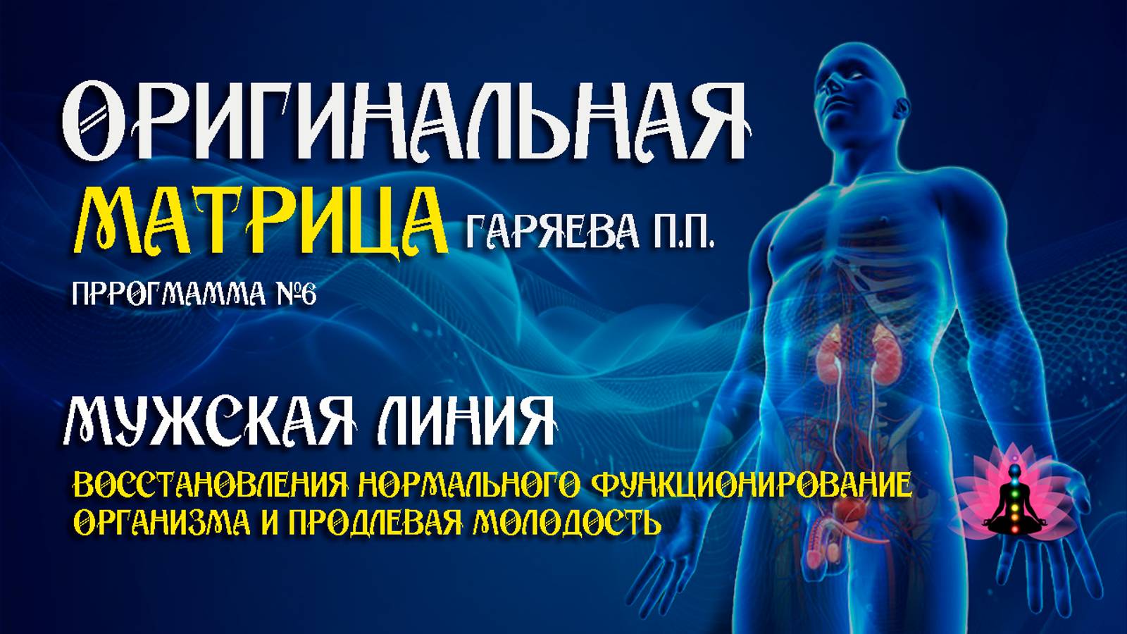 МУЖСКАЯ ЛИНИЯ » Программа №6 ⚠️ Оригинальная матрица Гаряева П П ☀️ SoftRadio ru