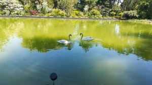 В Ботаническом саду Алматы 19-12-2024