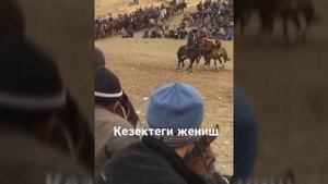 Улак кок бору