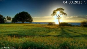 756 Стёпка вернулся 04.08.2023 г