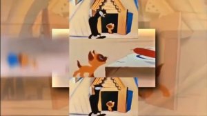 (YTPMV) Котенок По имени Гав Первая История (1976) Года Scan