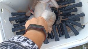 Перосъемная машина личного производства - рекомендую👌