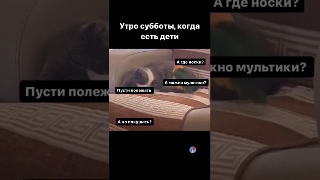 Утро субботы, когда есть дети