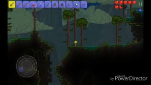 Terraria и край мира.