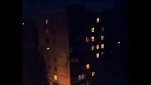 Палочник в Ульяновске
