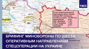 Брифинг Минобороны по шести оперативным направлениям спецоперации на Украине