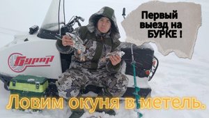 Ловим окуня в сильную МЕТЕЛЬ 🥶😱. Первый выезд на снегоходе БУРАН  с ДВС ЛИФАН 29 Л.С. Рыба есть !