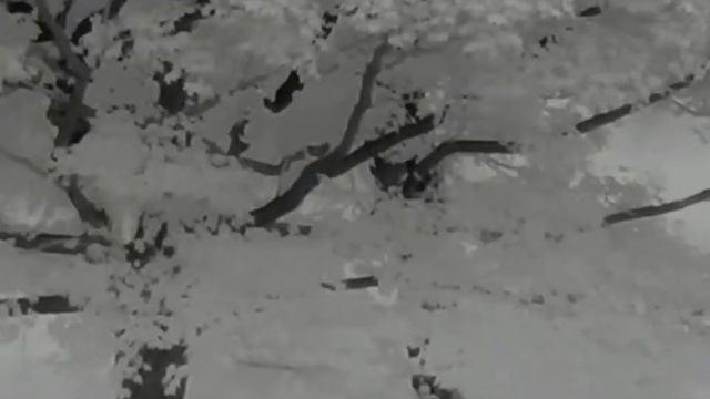 thermal thermtec cyclops350 смотреть онлайн