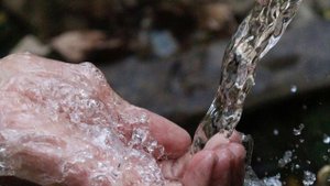 Притча Мудреца 12: Притча о Счастье и Здоровье.