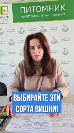 На что ориентироваться при выборе сорта вишни?