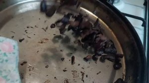 ДУБ и ЖЕЛУДИ - КОФЕ из желудей.