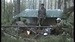 Вольный выпас глухарят