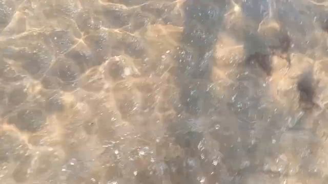 Феодосия, золотой пляж, вечер 2024 смотреть онлайн