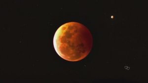 💕Stive Morgan - Красная луна Red Moon💕